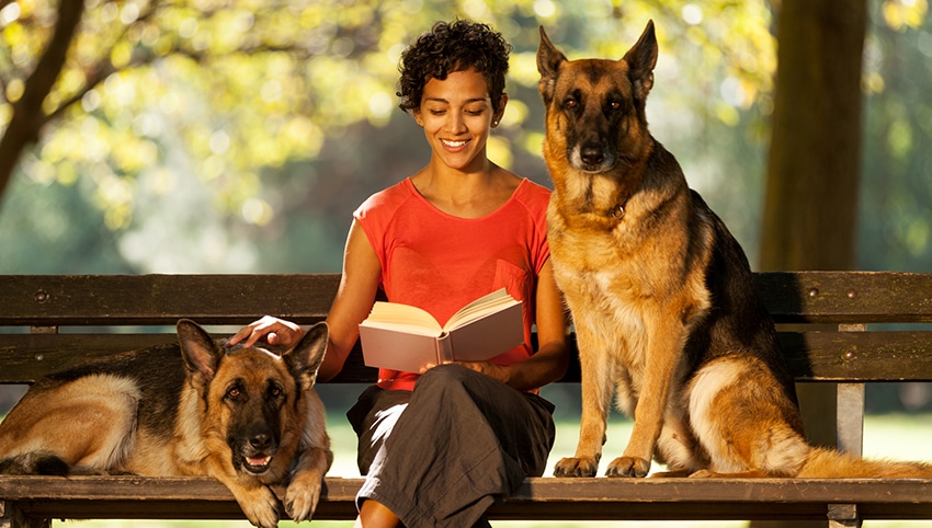 Woman is sitting on a bench with two german shepherds
